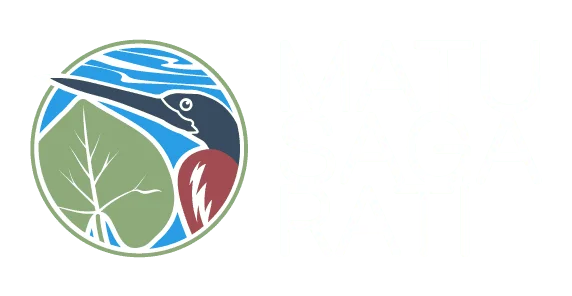 Matusagaratí